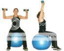 http://i787.photobucket.com/albums/yy151/bakimli/gymbal-img07.jpg?t=1290638035