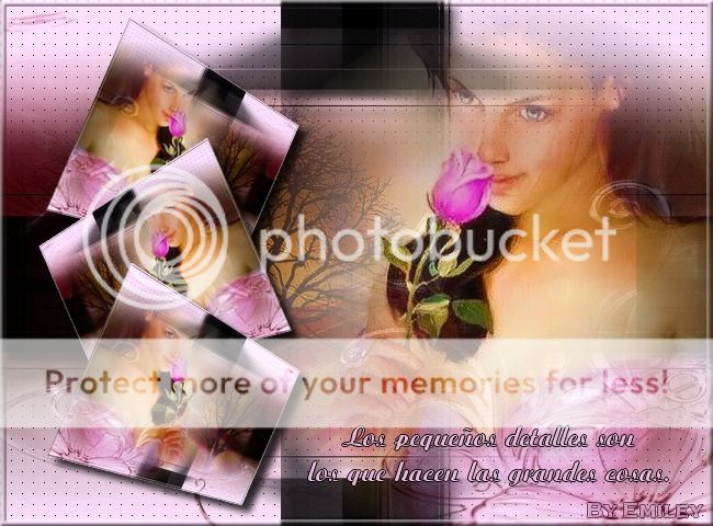  photo TRABAJO P-504_zpsytkiwc7b.jpg