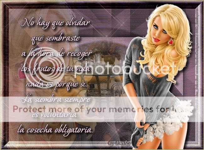  photo TRABAJO P-647_zpsydbosdyg.jpg