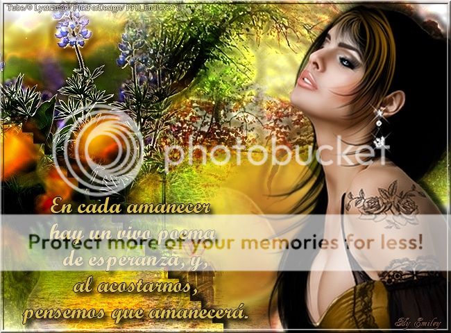  photo TRABAJO P-818_zpsldldz0oy.jpg