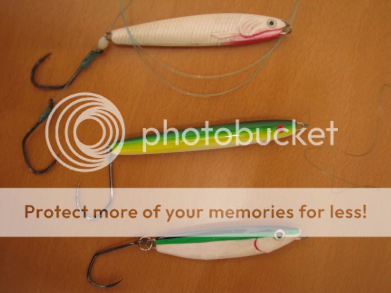 Herring, Fresh, frozen, curing fresh or frozen??? Game Fishing Forum