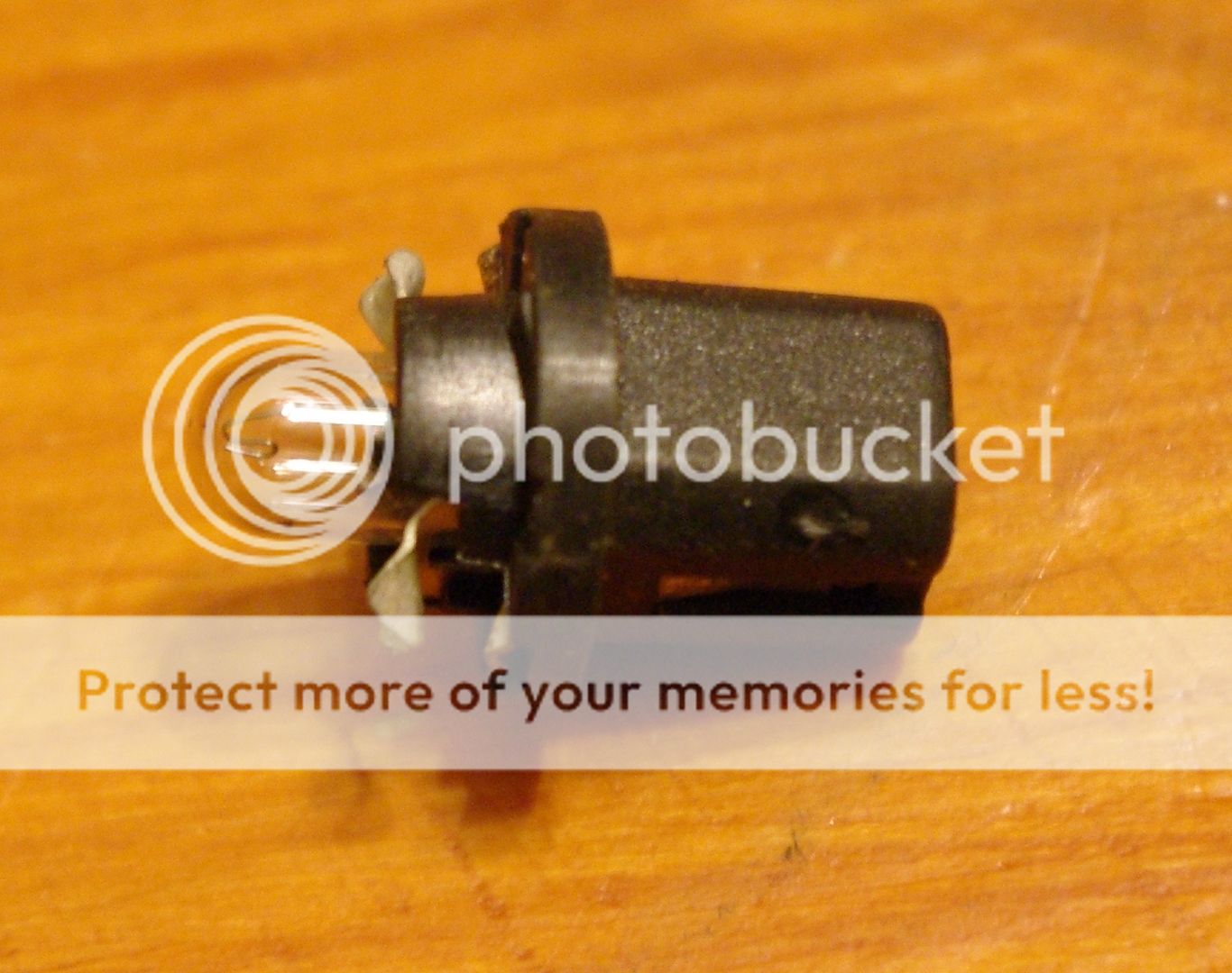 IMGP1152.jpg
