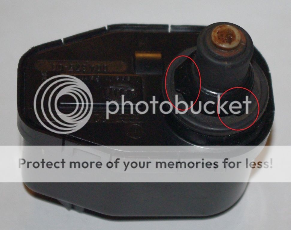 IMGP9028.jpg