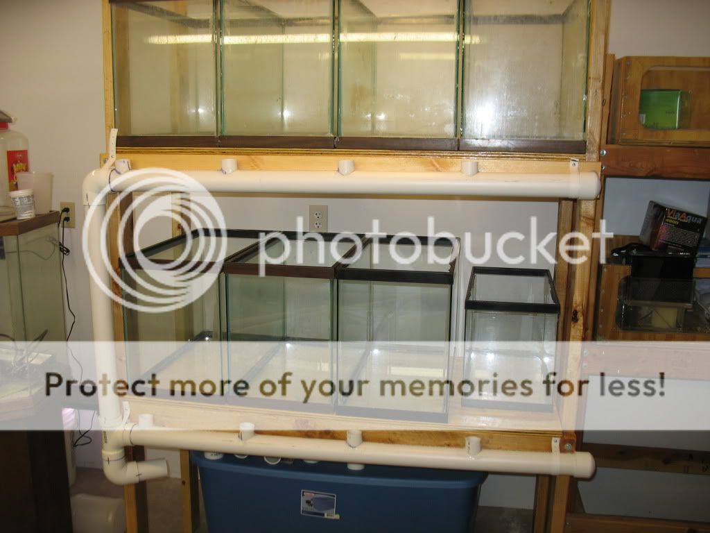 Fish Breeding Tank Showoff & Info Thread! REEF2REEF Saltwater and