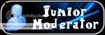 Junior moderator Junior moderator