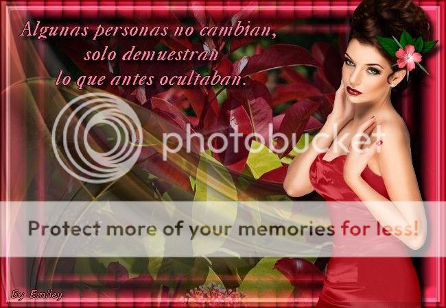  photo TRABAJO P-886_zpsp9lowexl.jpg