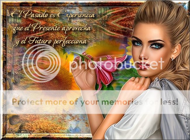  photo TRABAJO P-812_zpsh2zakztn.jpg