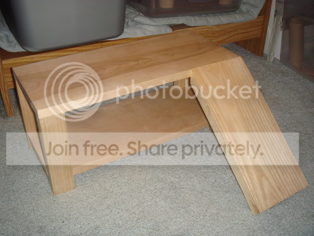 bearded dragon coffee table