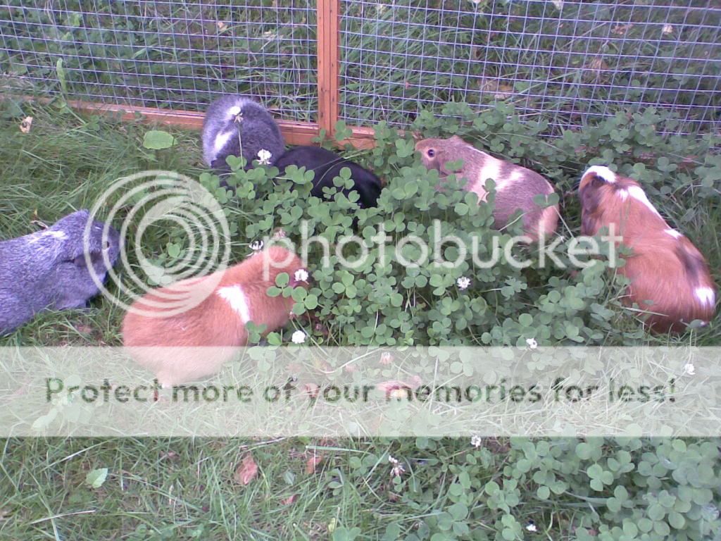 Image093.jpg